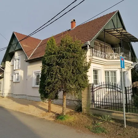 Viola * Bogács