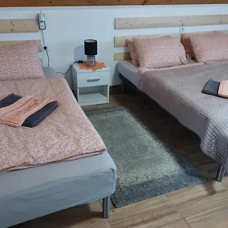 Viola Apartmanhaz アパート *