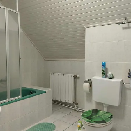 Viola Apartmanhaz 公寓 Bogács